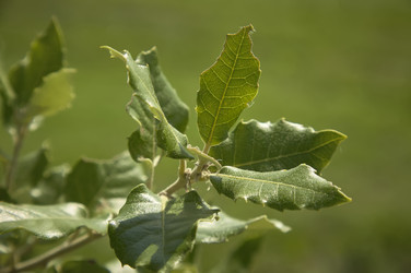 Similar image 22665643
