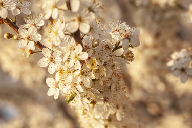 Similar image 22679745