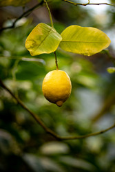 Similar image 22661058