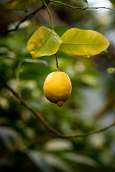 Similar image 22661059