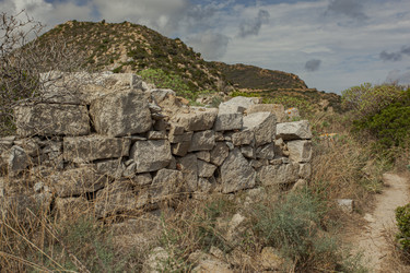 Similar image 22680004