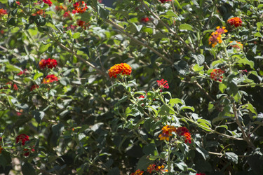 Similar image 22680122