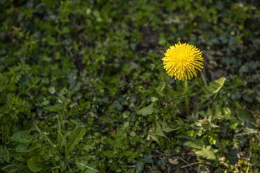 Similar image 22693899