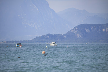 Similar image 22694051