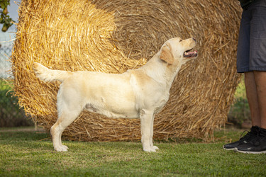 Similar image 22694472