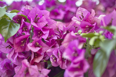 Similar image 22694635