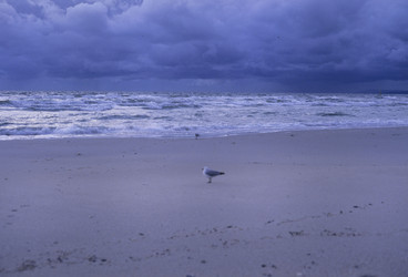 Similar image 22694817