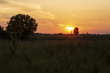 Similar image 22694860