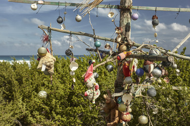 Similar image 22662523