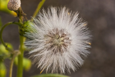 Similar image 22662584