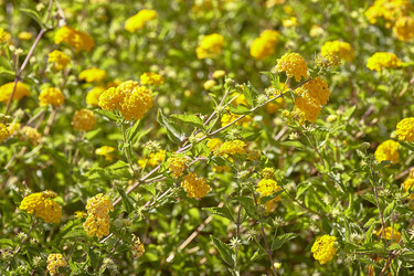 Similar image 22690945