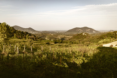 Similar image 22693872