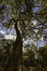 Similar image 22694037