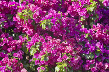 Similar image 22694892