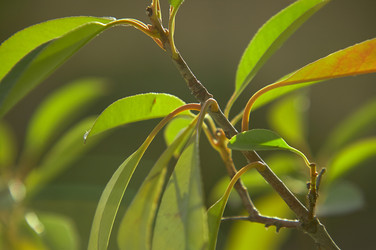 Similar image 22694983