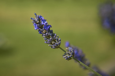 Similar image 22662571