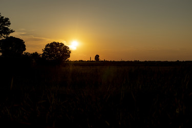Similar image 22665525