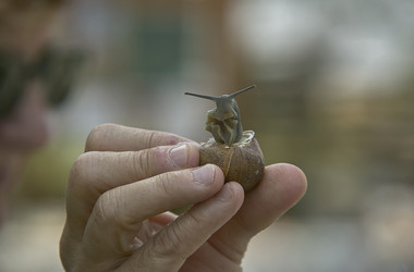 Similar image 22665752