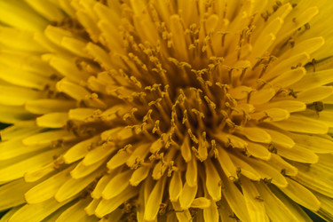Similar image 22679614