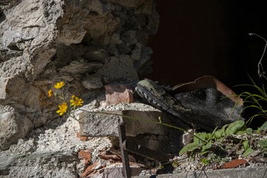 Similar image 22679686