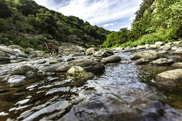 Similar image 22680095