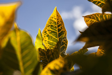 Similar image 22694053