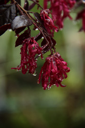 Similar image 22668310