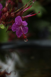 Similar image 22668313