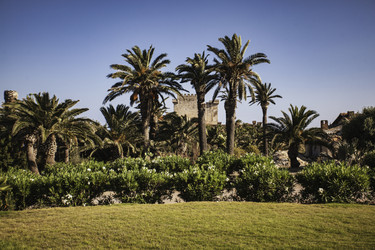 Similar image 22666108