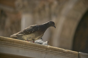 Similar image 22666120