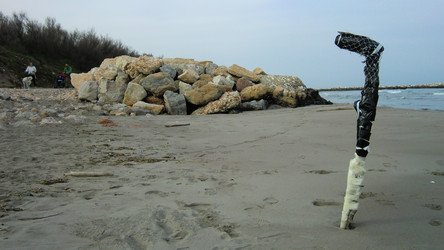 Similar image 22679688