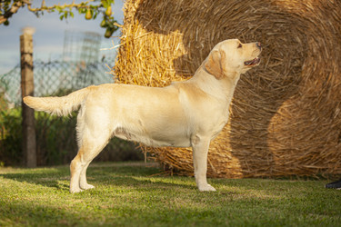 Similar image 22680080