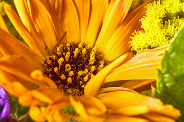 Similar image 22680125