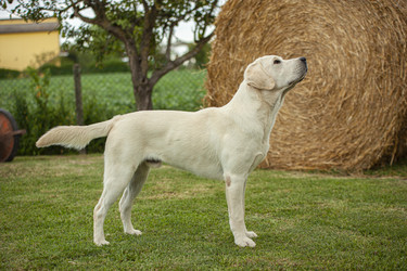 Similar image 22693811