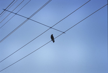 Similar image 22694234