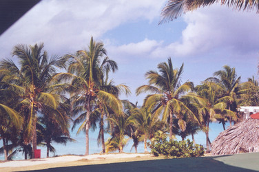 Similar image 22694698