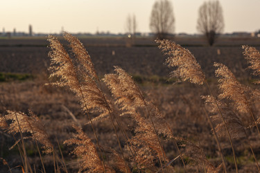 Similar image 22665831