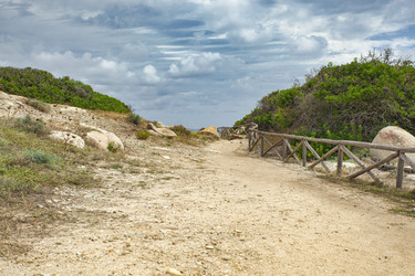 Similar image 22679601
