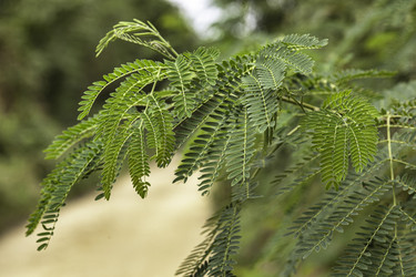 Similar image 22679840