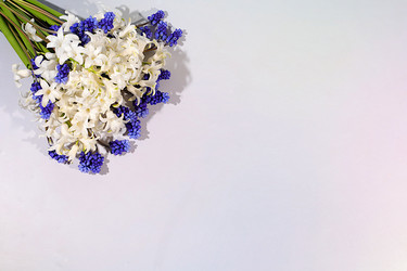 Similar image 22663974