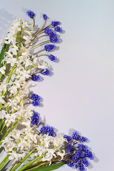 Similar image 22663988