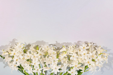 Similar image 22663989