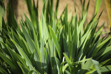 Similar image 22694611