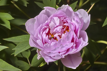 Similar image 22665514