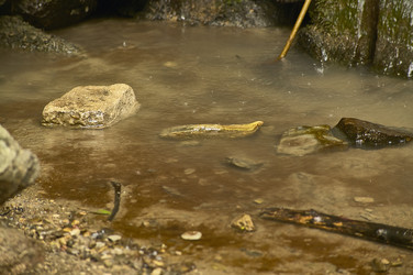 Similar image 22665845