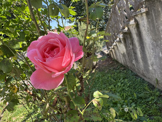 Similar image 22666080