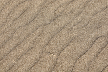 Similar image 22666123