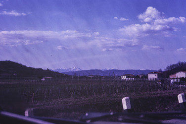 Similar image 22679704