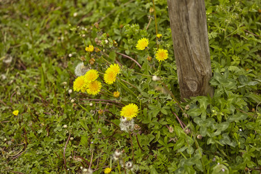 Similar image 22679929