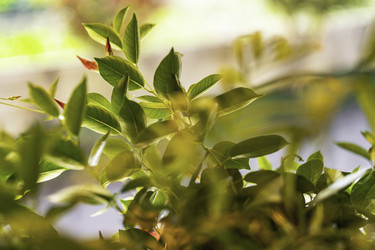 Similar image 22679976